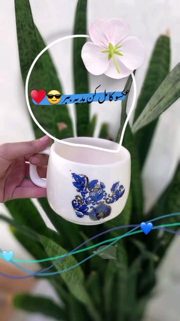 نیم ماگ سرامیکی